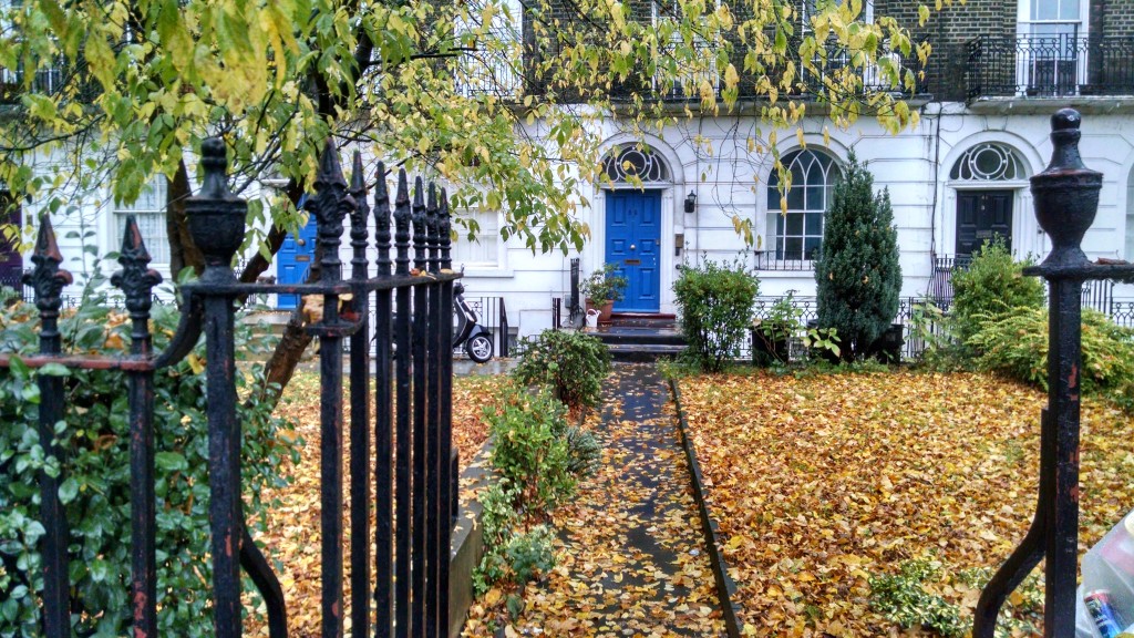 White row houses with blue doors and orange leaves scattered on the ground