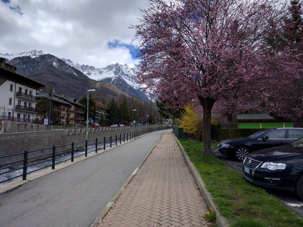 road to alps with spring flowers