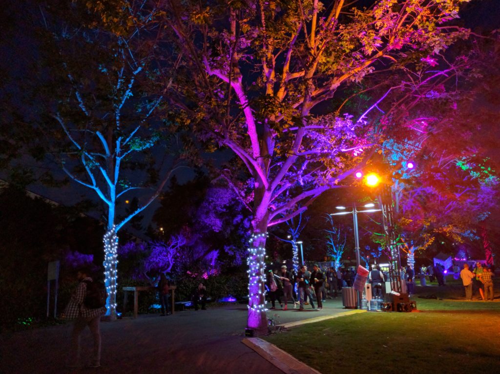 colorful tree at night